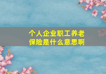 个人企业职工养老保险是什么意思啊