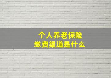 个人养老保险缴费渠道是什么