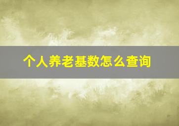 个人养老基数怎么查询