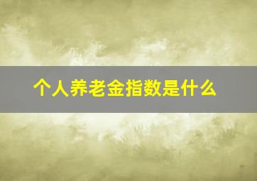 个人养老金指数是什么