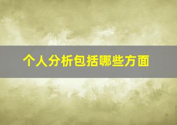 个人分析包括哪些方面