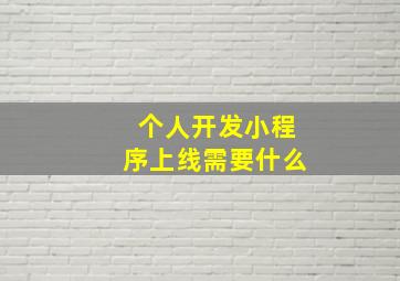 个人开发小程序上线需要什么