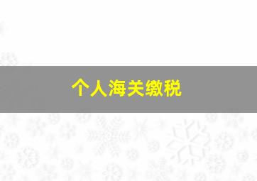 个人海关缴税