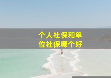 个人社保和单位社保哪个好