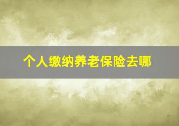 个人缴纳养老保险去哪