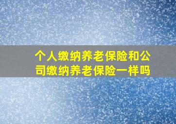 个人缴纳养老保险和公司缴纳养老保险一样吗