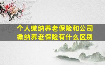 个人缴纳养老保险和公司缴纳养老保险有什么区别