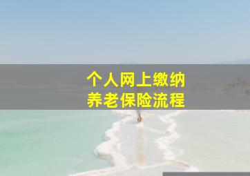 个人网上缴纳养老保险流程