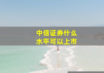 中信证券什么水平可以上市