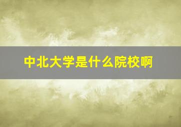 中北大学是什么院校啊