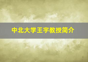 中北大学王宇教授简介