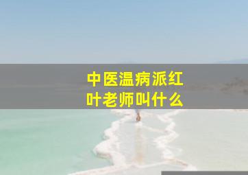 中医温病派红叶老师叫什么