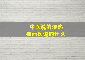 中医说的湿热是西医说的什么