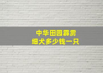 中华田园霹雳细犬多少钱一只