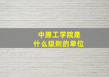 中原工学院是什么级别的单位