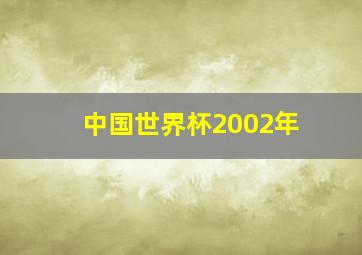 中国世界杯2002年