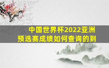 中国世界杯2022亚洲预选赛成绩如何查询的到