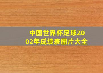 中国世界杯足球2002年成绩表图片大全