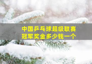 中国乒乓球超级联赛冠军奖金多少钱一个