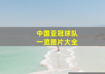 中国亚冠球队一览图片大全