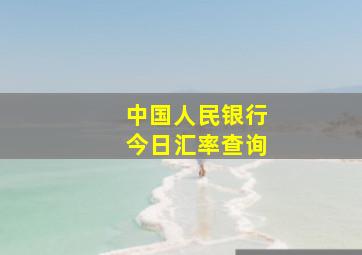 中国人民银行今日汇率查询