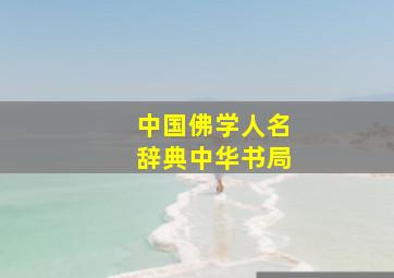 中国佛学人名辞典中华书局