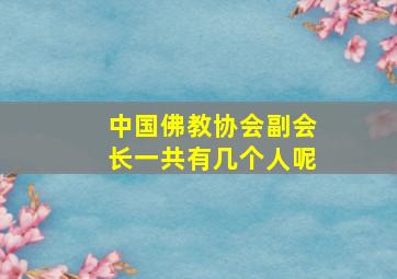 中国佛教协会副会长一共有几个人呢