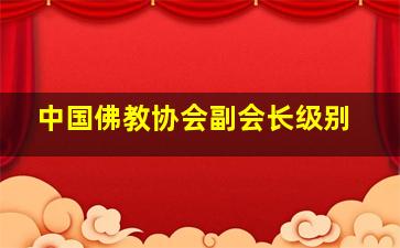 中国佛教协会副会长级别