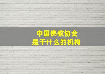 中国佛教协会是干什么的机构