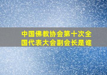 中国佛教协会第十次全国代表大会副会长是谁