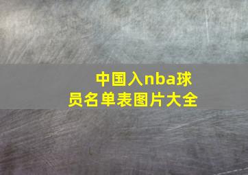 中国入nba球员名单表图片大全