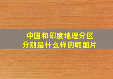 中国和印度地理分区分别是什么样的呢图片