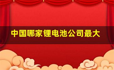 中国哪家锂电池公司最大