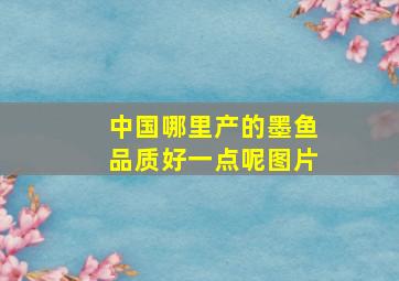 中国哪里产的墨鱼品质好一点呢图片