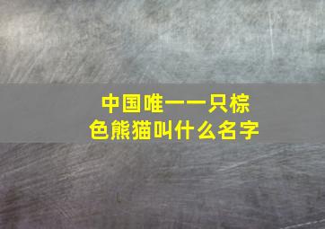 中国唯一一只棕色熊猫叫什么名字