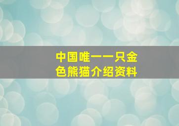 中国唯一一只金色熊猫介绍资料