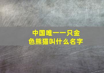 中国唯一一只金色熊猫叫什么名字