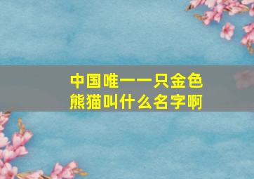 中国唯一一只金色熊猫叫什么名字啊