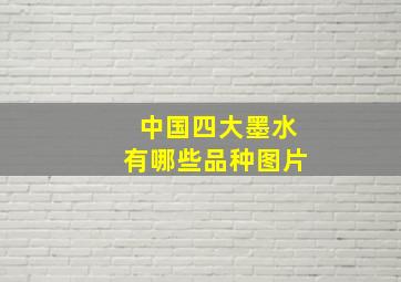 中国四大墨水有哪些品种图片