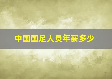 中国国足人员年薪多少