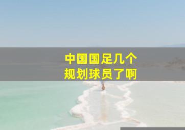 中国国足几个规划球员了啊