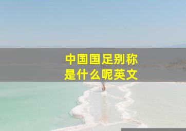 中国国足别称是什么呢英文