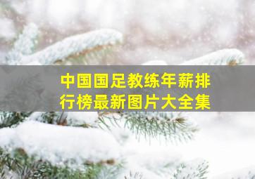 中国国足教练年薪排行榜最新图片大全集