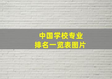 中国学校专业排名一览表图片