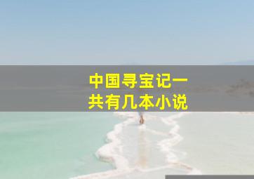 中国寻宝记一共有几本小说