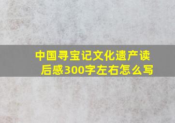 中国寻宝记文化遗产读后感300字左右怎么写