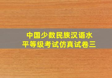 中国少数民族汉语水平等级考试仿真试卷三