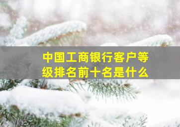 中国工商银行客户等级排名前十名是什么