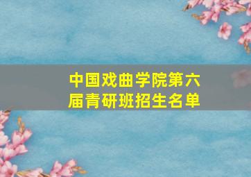 中国戏曲学院第六届青研班招生名单