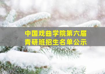 中国戏曲学院第六届青研班招生名单公示